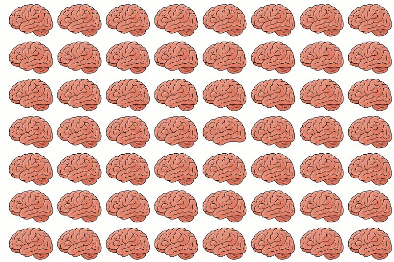    IQ: 1   80   , ?