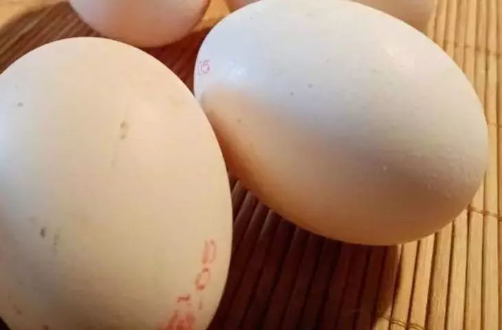  ,    :   5 ,        