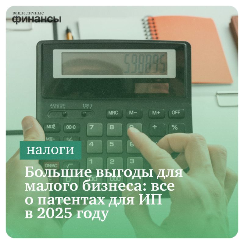   :    2025        