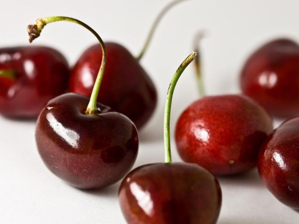 Как защитить вишневые деревья: секреты от болезней и вредителей