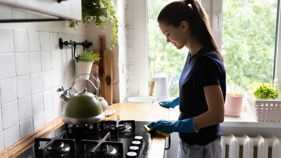 В Госдуме обсуждается законопроект о поддержке домохозяек с ежемесячными выплатами