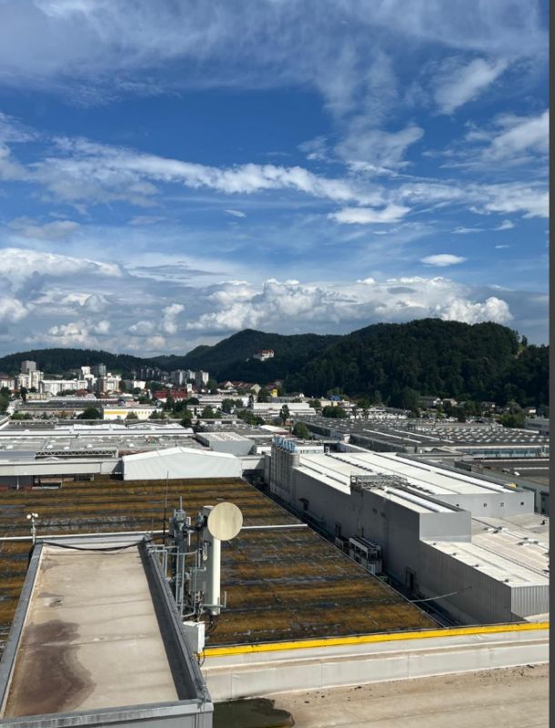 Как ASKO превратился в символ скандинавского качества: история бренда