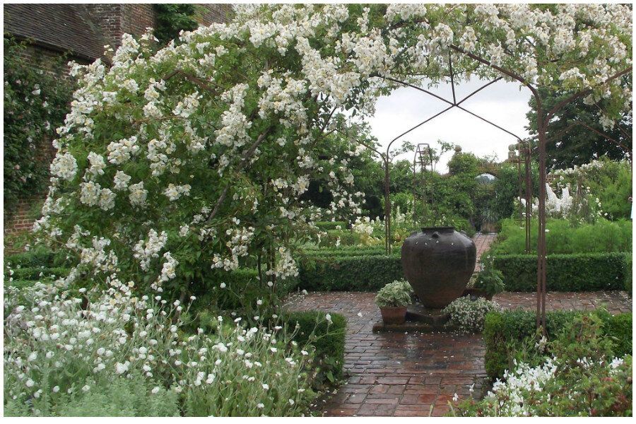 Лунный сад: как создать атмосферу волшебства на даче