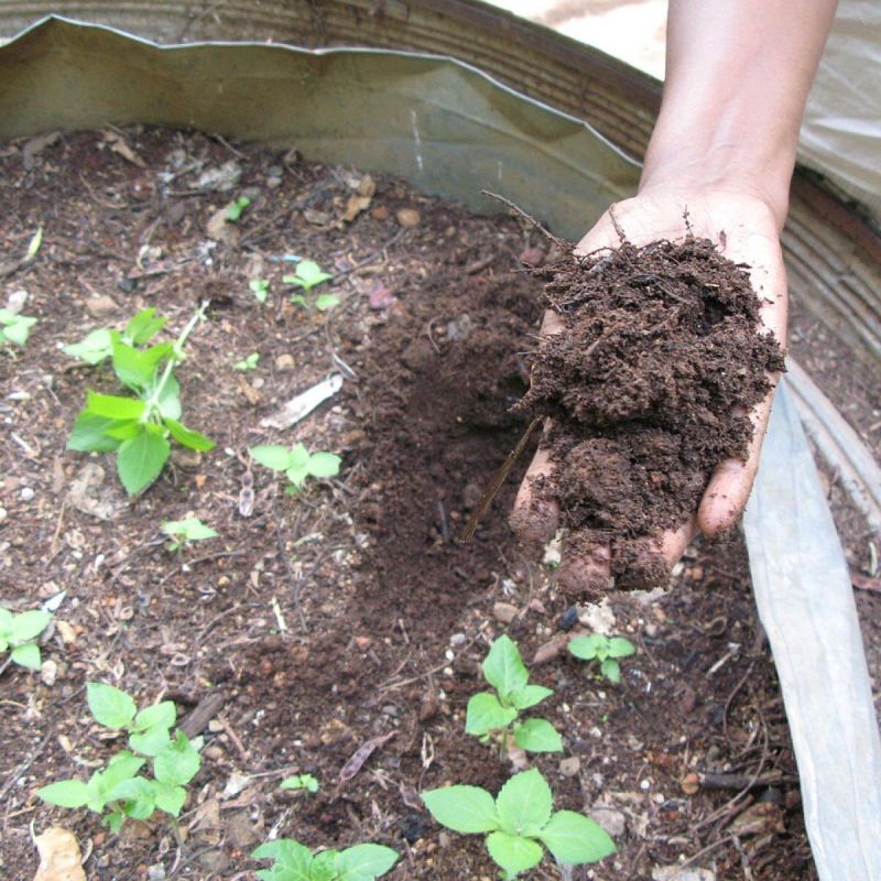 Зимняя вспашка: как превратить холода в выгоду для будущего урожая