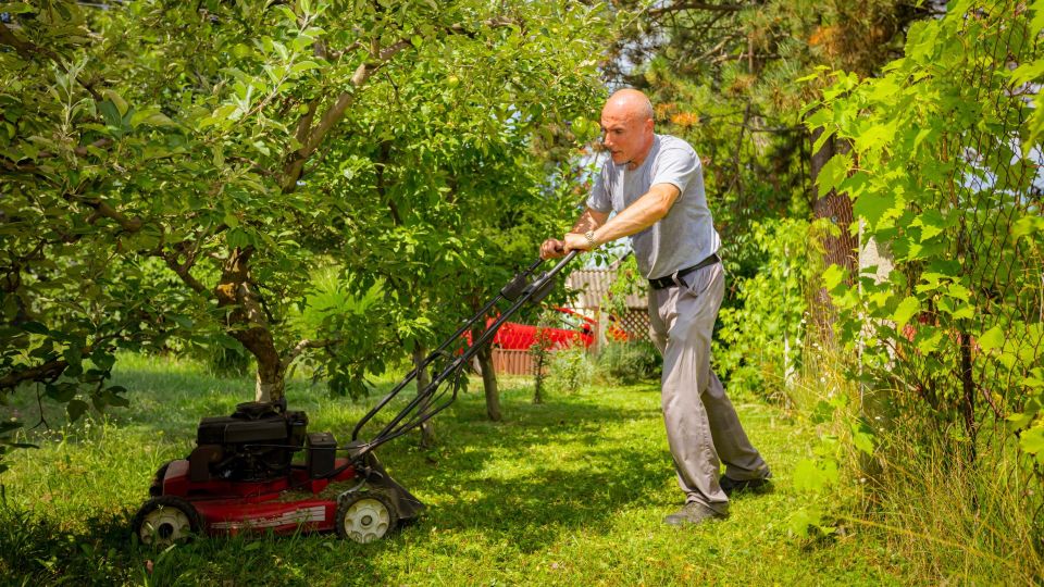 Не только для компоста: вот как еще можно использовать скошенную траву на даче