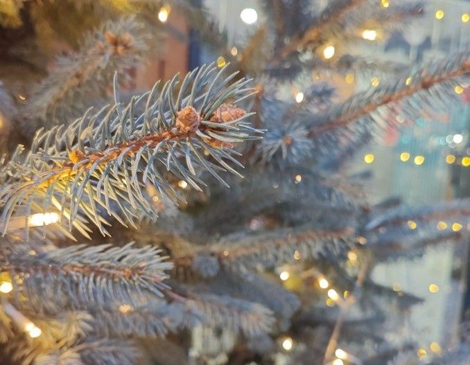 Пенсионеры России ощутят праздничный сюрприз: январские выплаты досрочно в последний день декабря