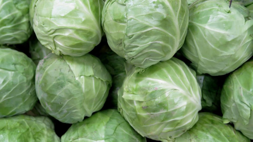 Секреты поздней капусты: лучшие сорта для долгого хранения и вкусных заготовок