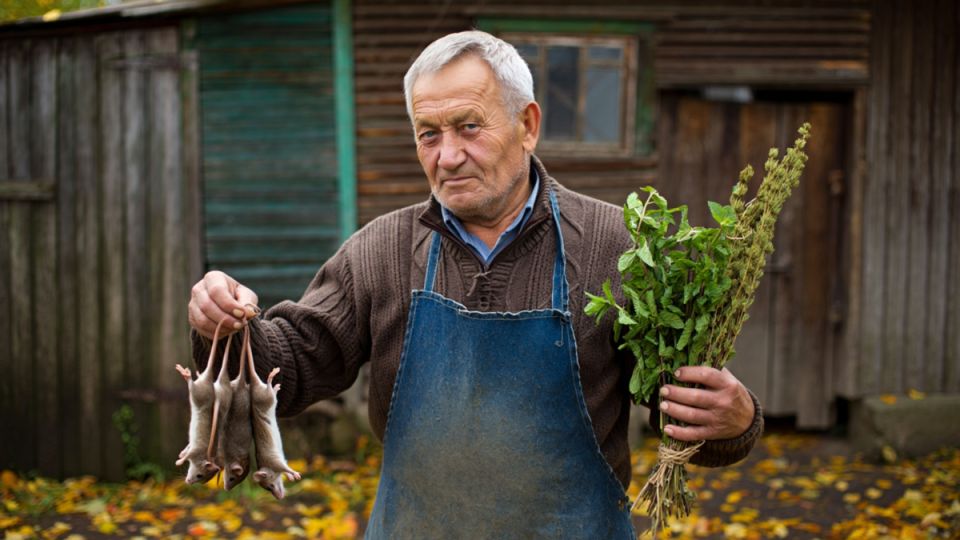 Устранение мышей: Простые и эффективные способы для дачников