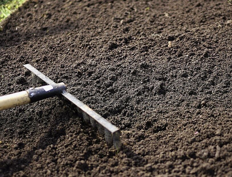 Как вернуть жизни вашей почве: пять простых способов