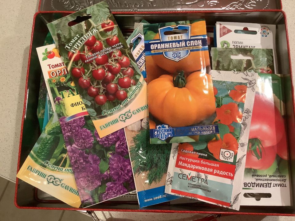 Зимняя подготовка к садоводству