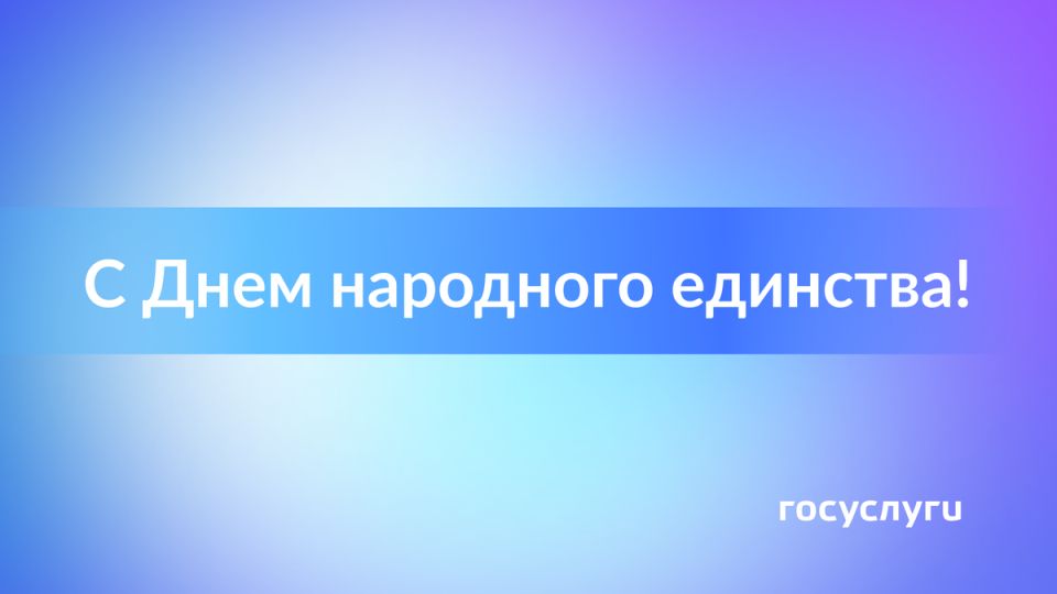 Народное единство: как госуслуги объединяют многонациональную Россию