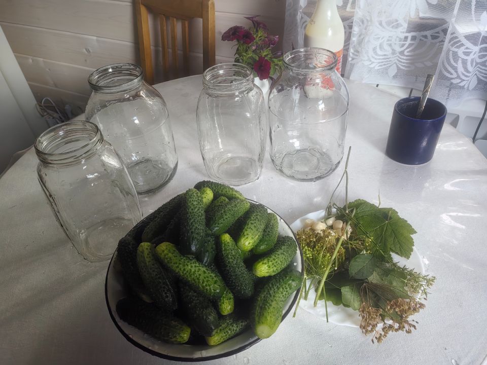 Как закатать огурцы на зиму: простой способ без стерилизации