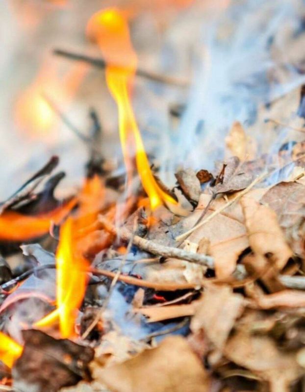 Осень на даче: как листья и ботва могут стать лучшим удобрением