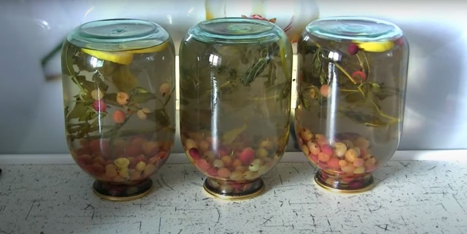 Компот из крыжовника на зиму: освежающий мохито в банке