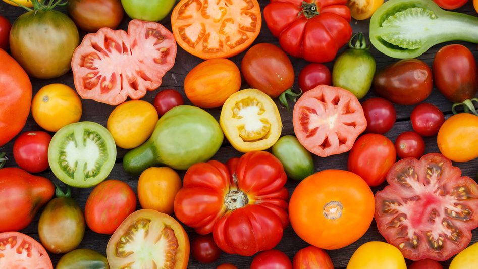 ������� ��������: ����������� ������������ �� ����� �������