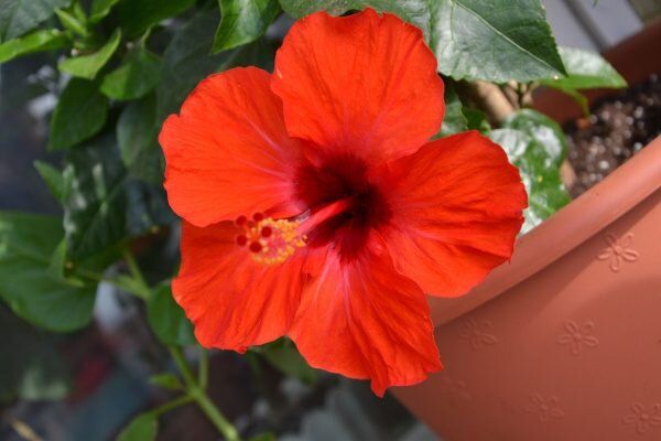 ��� � ��������� ���������: �� ����� �� �����