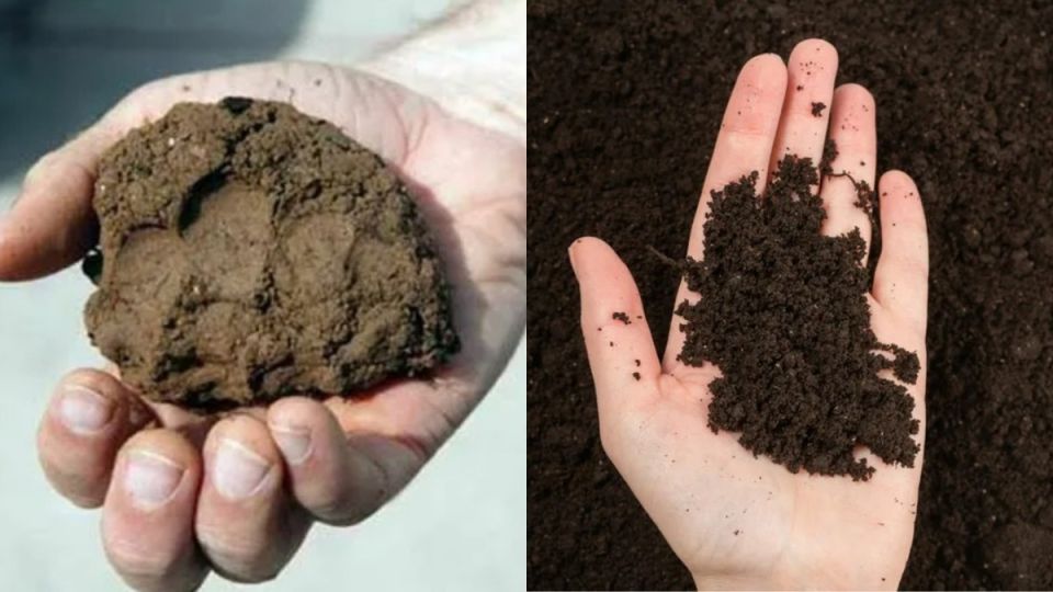 ��� ������ �������� ��������� �����: ����������� ������, ������� ��������