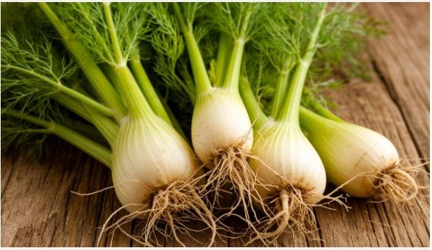 Вкус без границ: удивительная курица с фенхелем