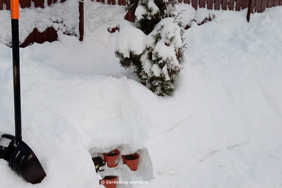 ��� ������ ����������� ����� ������ � �������� transform����� ��� ��� �� ��� ������