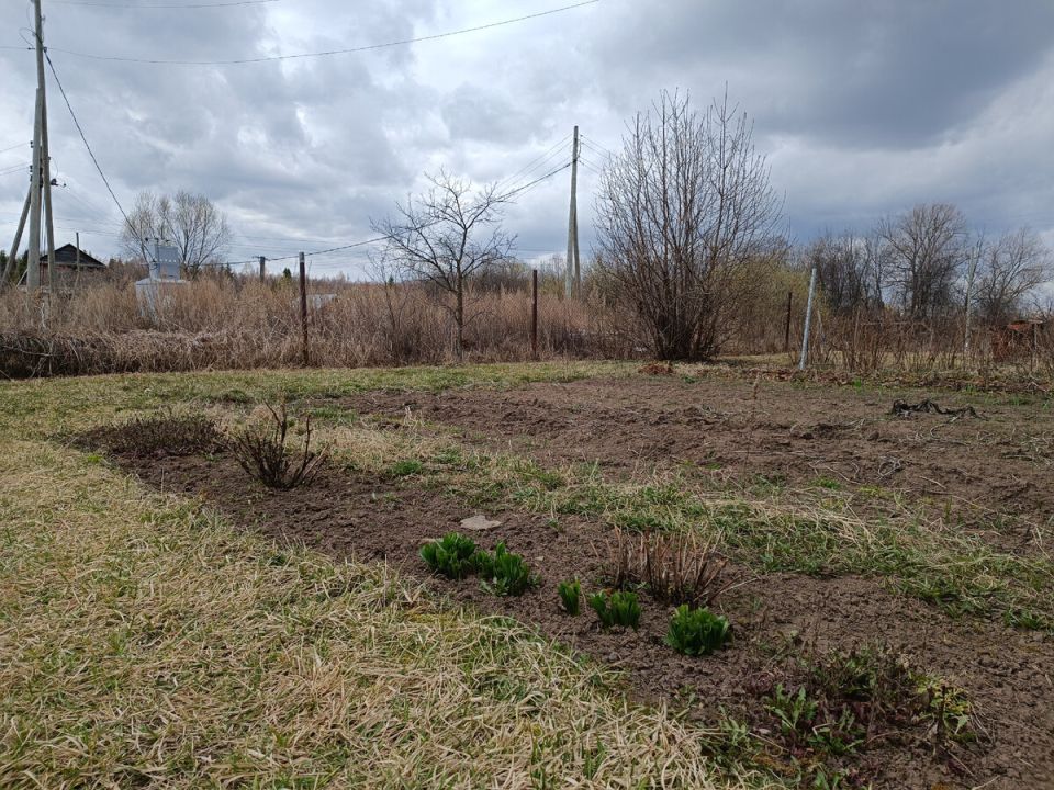 ���������� ����������� �������: ������� ��������� ������