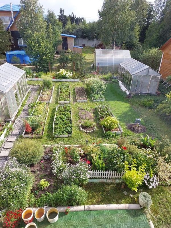 Оптимизация пространства: 4 сотки для овощей и не только