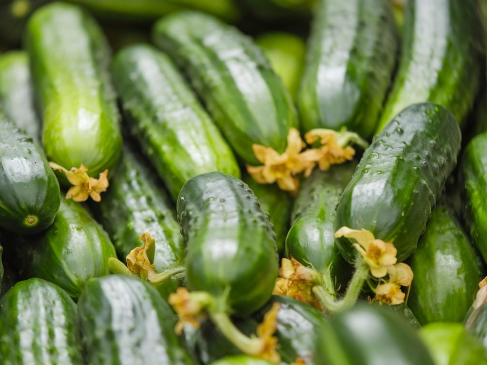 ������ ���������: ������ ������ �� ���� ������?