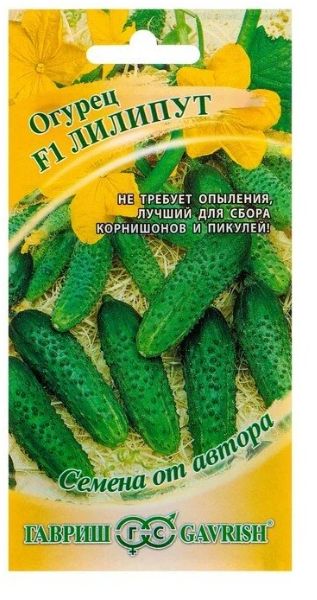 ������������������ ������: ������� �������� � ������� ������������