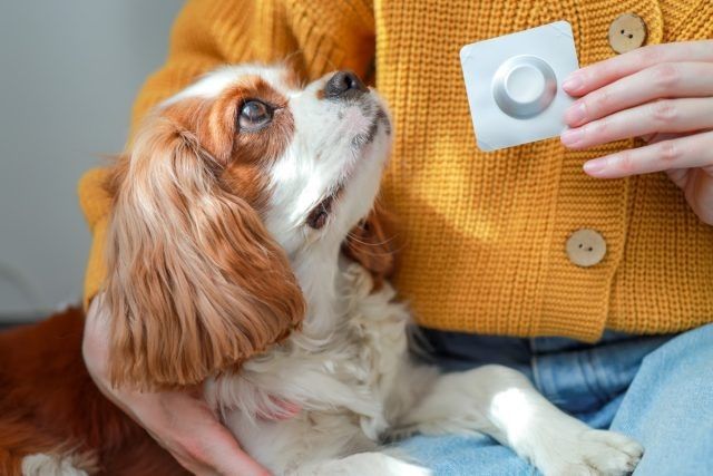 �������������� � ����� �����������: ������� � ����������� ����