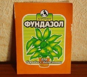 Фундазол: Как избежать грибных угроз с новым фунгицидом