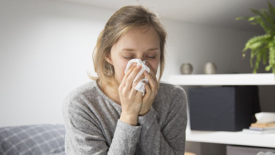 ���� ��������������� ��� ���� �������� �������� ��������: ����� ���������