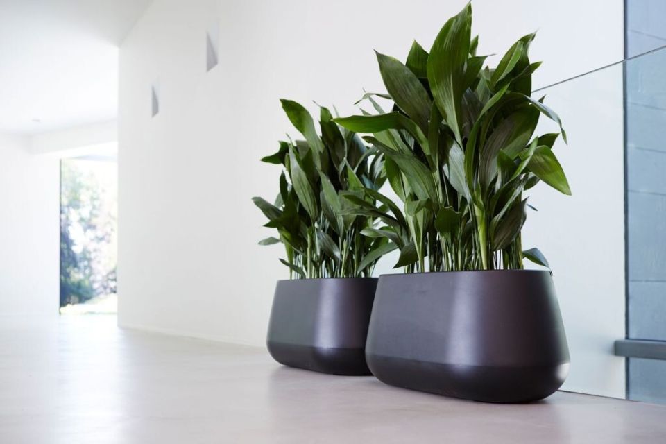 ��������������� ������� ��������: �������� ��������� ��������, �� ��������� ����� ��������