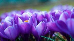 ������: ����� ������� � ������ �� �����