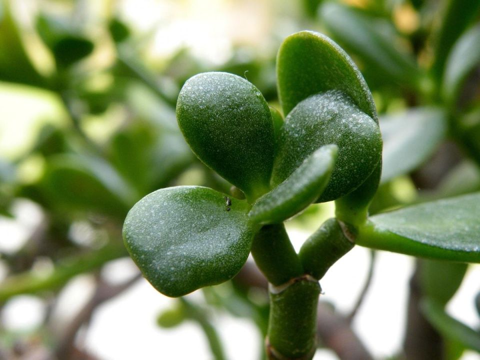 �������� ������: ������ ������� � ����� �������� � �������