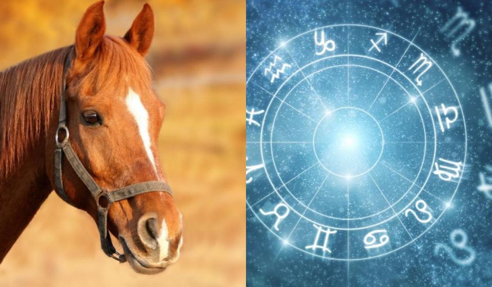 ��� ���� ������� ���������� ���� ��������� ��������