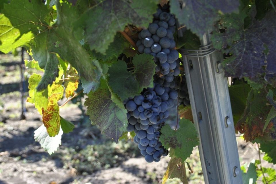 ������� ���� ����� ������� ������������� ������� � ����� ������