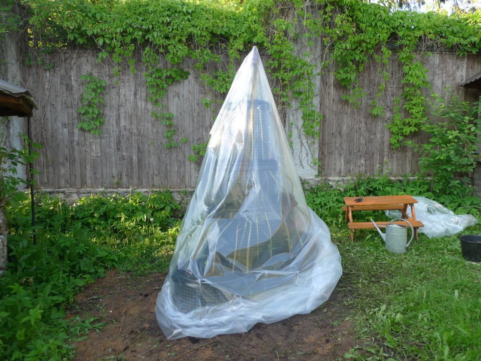 ���������� ������-����� ��� �������: ���������� ����������