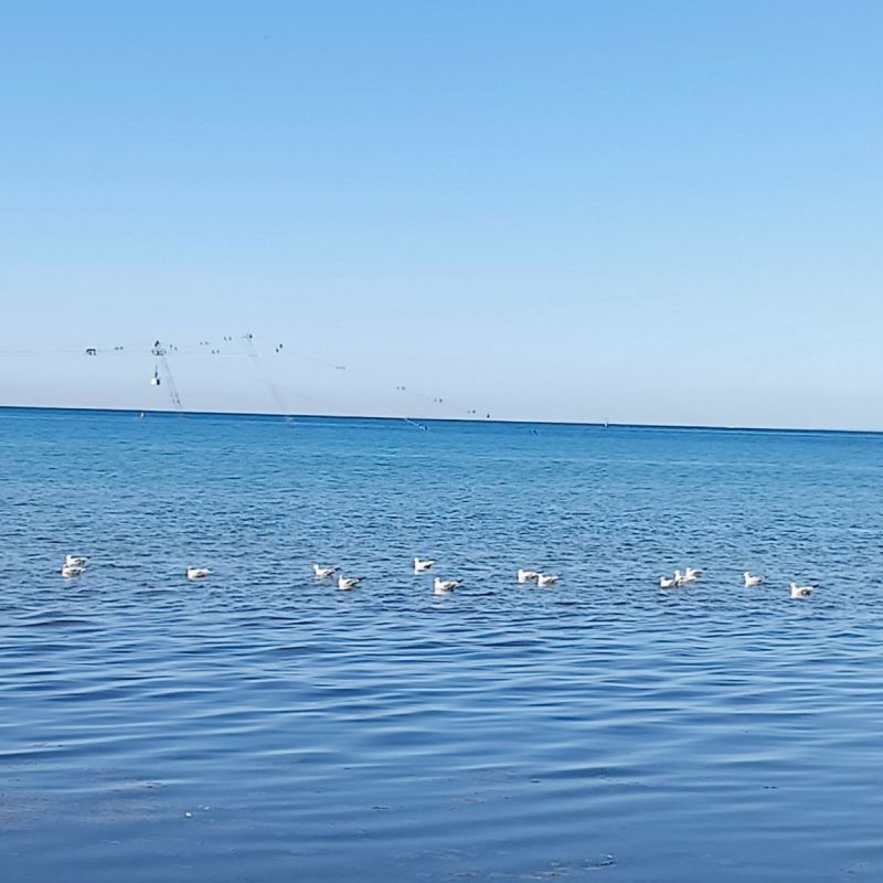 ���������� ������ �� �������: ������� �� ������� ���������