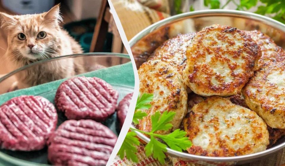 ��� ������� ����� ������: ������� ���������� �����