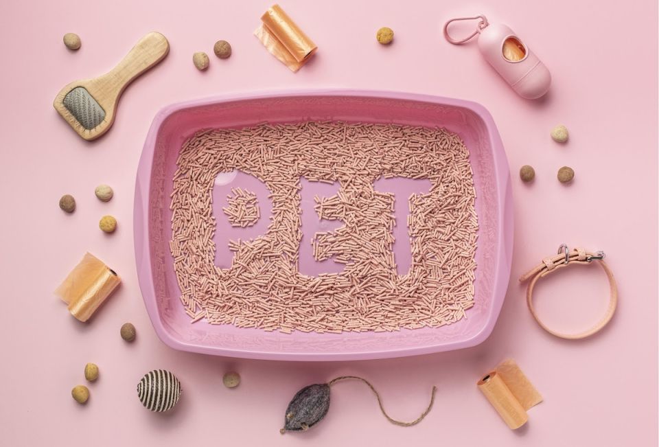 ������� �������: ��� ��������� ���� ������� ����� � �������� �������������