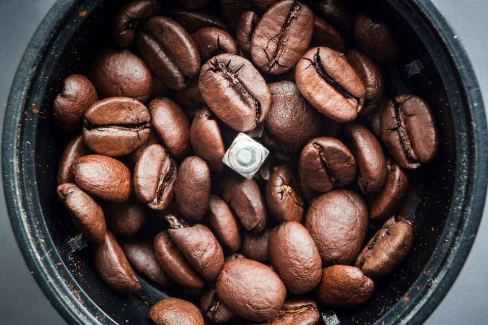 ��������� �����: ��� ������� ���������� ������ ��� ������ ����