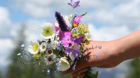 Осенние размышления о жизни и молодости