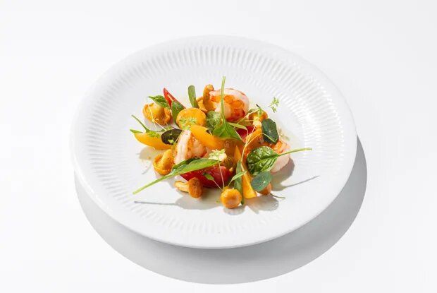 ����� � ��������� � ����������