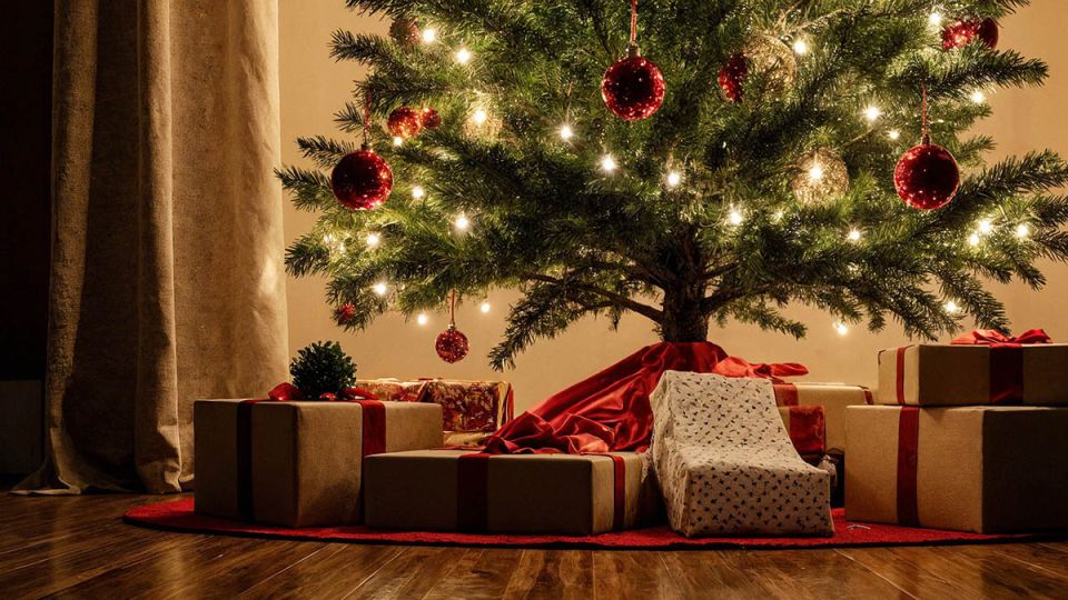 ����� ������� ���������: ������ ���� ���������� �������� 2026 ����