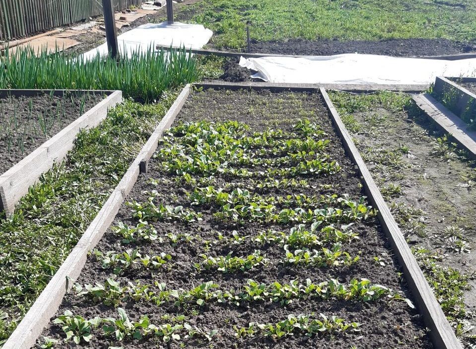 ��������� � �����������: ����� ��������� �������