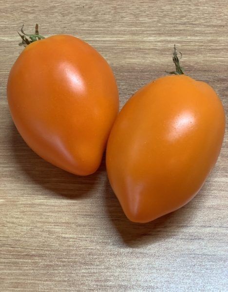 Томат Золотой Буратино: как вырастить сладкие плоды с уникальной формой