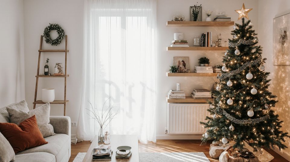 ������������ ������������: ��� ���������� �� ������� ��������� ����������