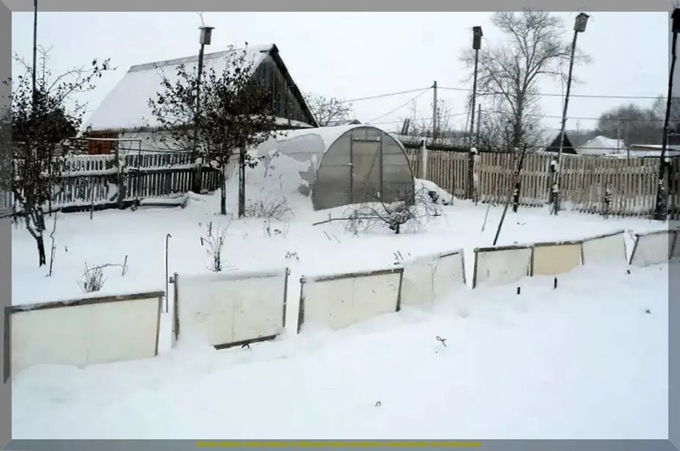 ��� ��������������� �������� ��������� ��������� ����� � �����