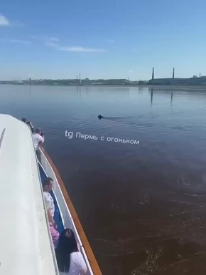 #.          