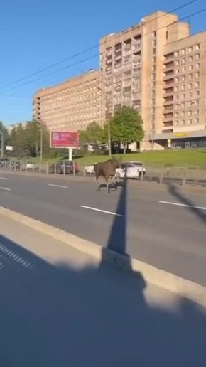      ?   