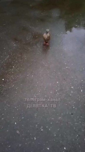     21.     ,    ,       